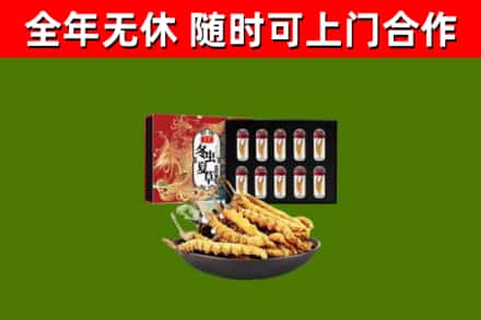 延安回收冬虫夏草价格